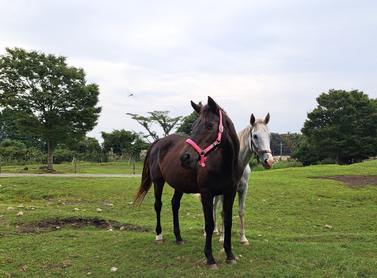 fddd49dfa548b097dc258c2605ad61f7-1761812178.jpg fddd49dfa548b097dc258c2605ad61f7-1761812178.jpg